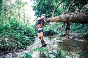 BIB: 
                            <button type="button" onclick="openModal(25434727)" class="btn btn-primary btn-sm float-right btn-popup" data-toggle="modal" data-target=".modal-high-quality">
                        <i class="fas fa-shopping-cart"></i> Add to Cart
                    </button>
                                            <button type="button" onclick="isThisMe(25434727, true)" class="btn btn-success btn-sm float-right btn-popup btn-isme hidden" data-toggle="tooltip" data-placement="bottom" title="นี่คือรูปของคุณใช่ไหม คลิกที่นี่เพื่อเอาเข้าอัลบั้ม">
                        <i class="fas fa-plus"></i> Add to album
                    </button>
                    <button type="button" onclick="isThisMe(25434727, false)" class="btn btn-warning btn-sm float-right btn-popup btn-isnotme hidden">
                        <i class="fas fa-ban"></i> Remove from album
                    </button>